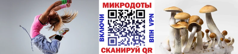 Галлюциногенные грибы Cubensis  купить   ссылка на мегу рабочий сайт  Инза 